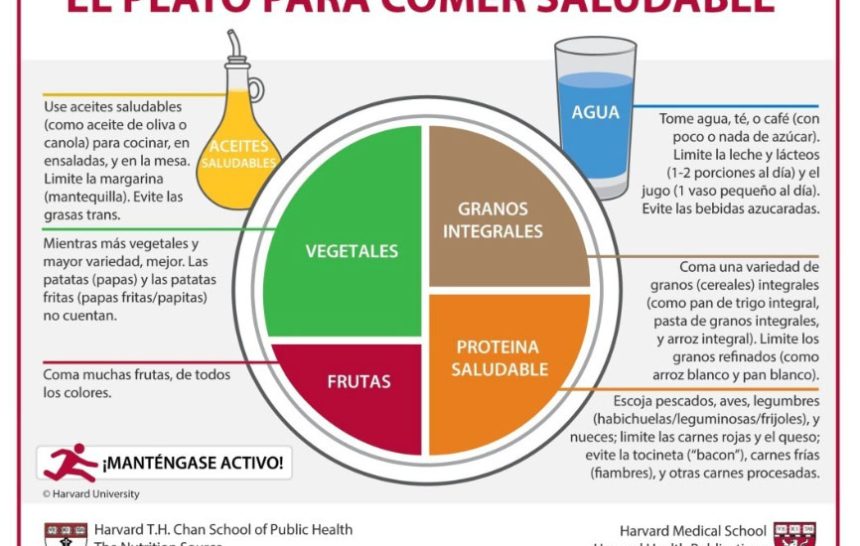 ¿Qué es el plato saludable?